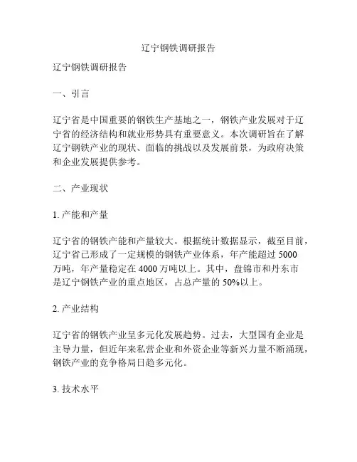 辽宁钢铁调研报告