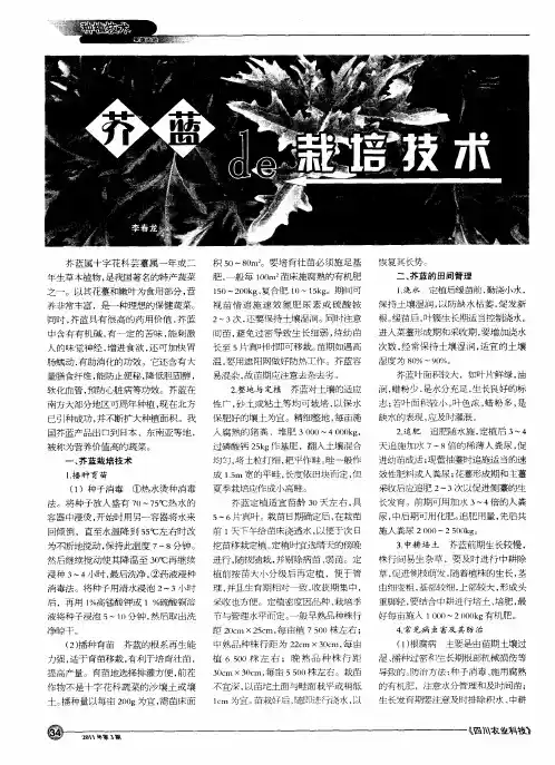 芥蓝的栽培技术