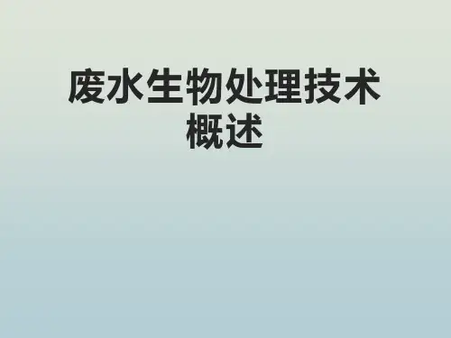 废水生物处理技术概述 教学PPT课件