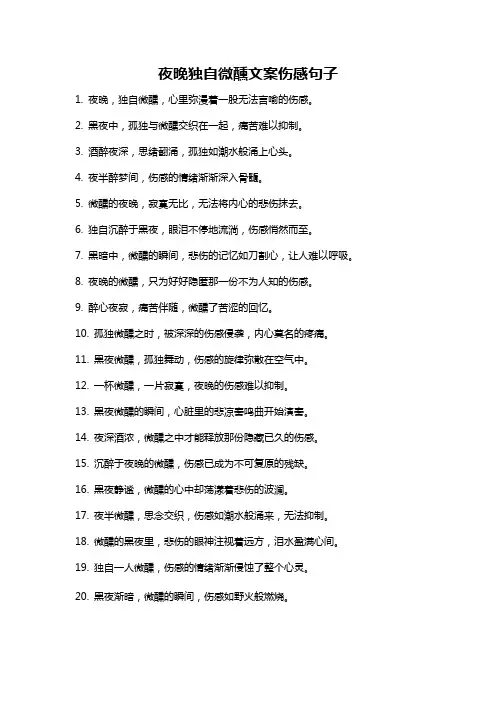 夜晚独自微醺文案伤感句子
