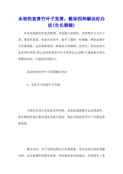 水培的富贵竹叶子发黄,教你四种解决好办法(生长碧绿)