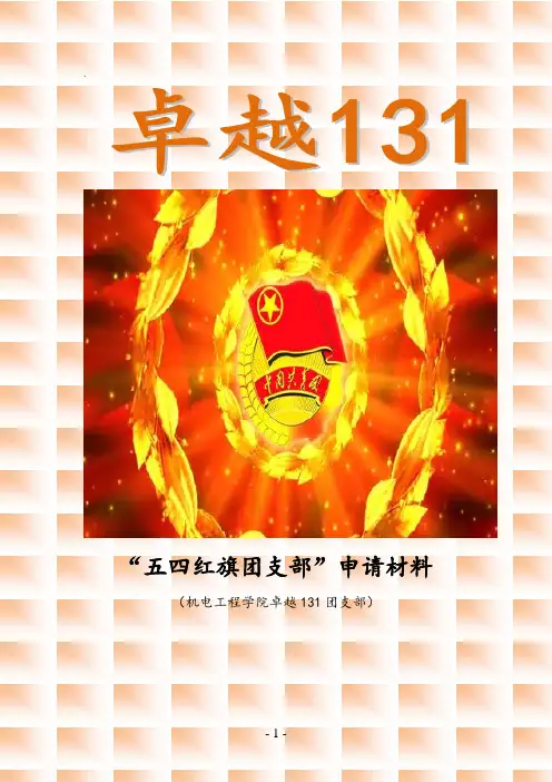 五四红旗团支部申请书