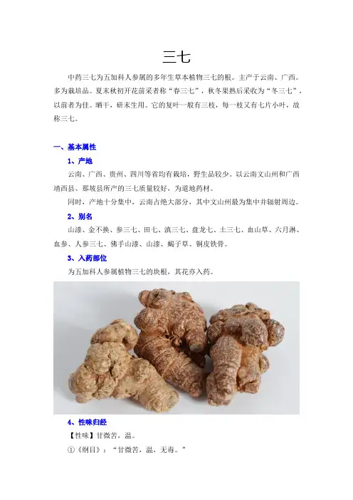 三七的功效、鉴别及应用
