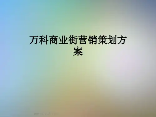 万科商业街营销策划方案