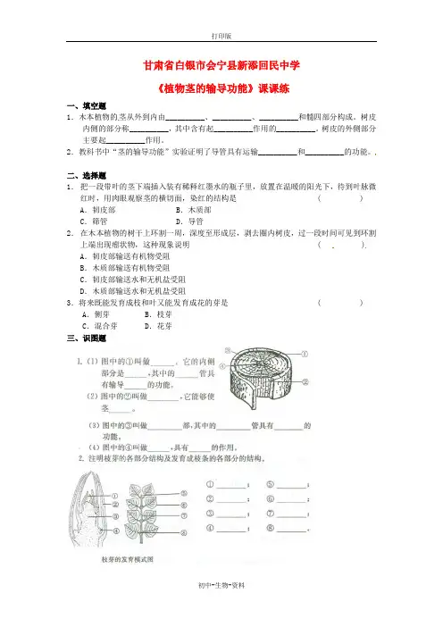 苏教版生物-七年级上册《植物茎的输导功能》课课练