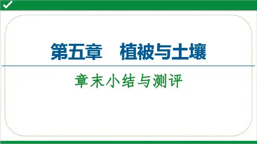 2020-2021学年高中地理第5章植被与土壤章末小结与测评课件必修第一册