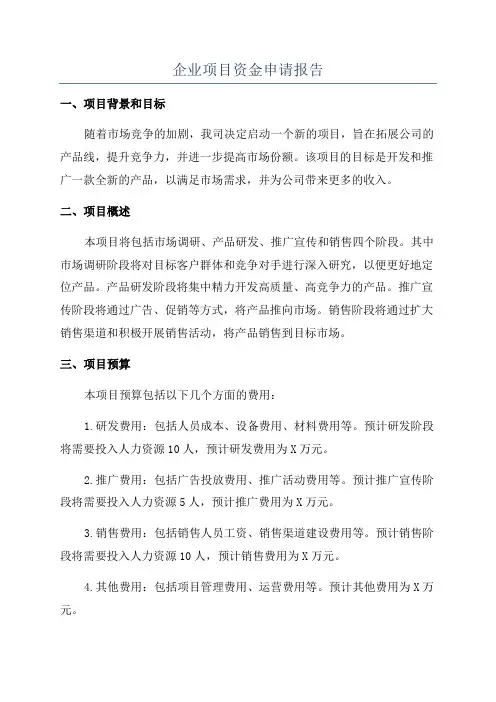 企业项目资金申请报告
