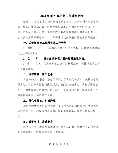 2024年项目部年度工作计划例文（6篇）