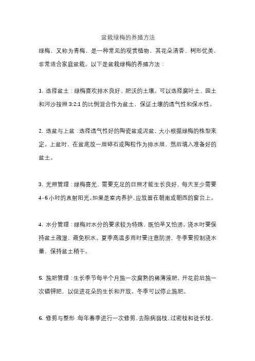 盆栽绿梅的养殖方法