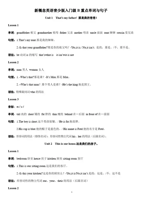 新概念英语青少版入门级B重点单词和句型