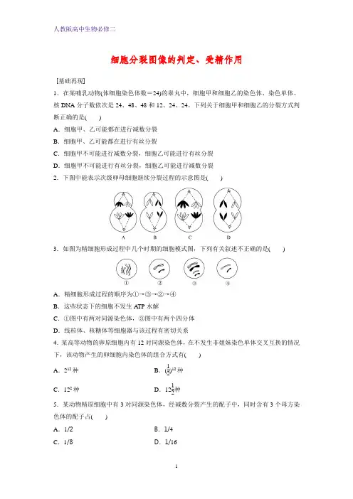 高中生物必修2课时作业6：2.1.3 细胞分裂图像的判定、受精作用