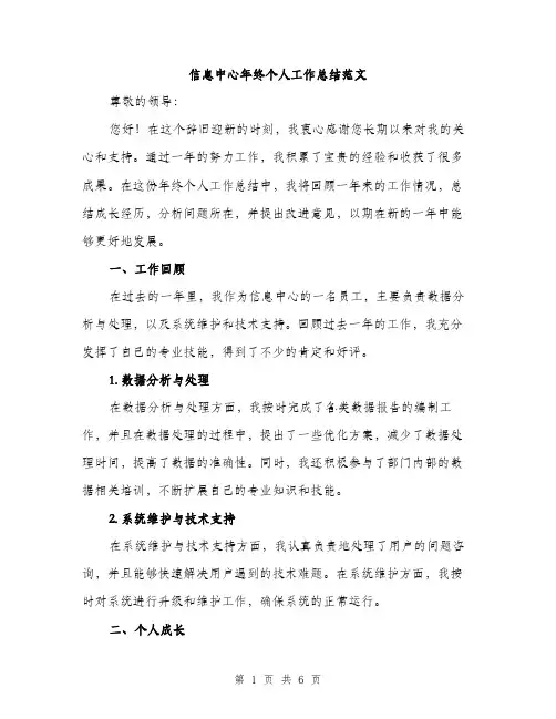信息中心年终个人工作总结范文（二篇）