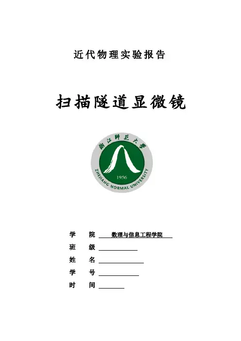 扫描隧道显微镜实验报告