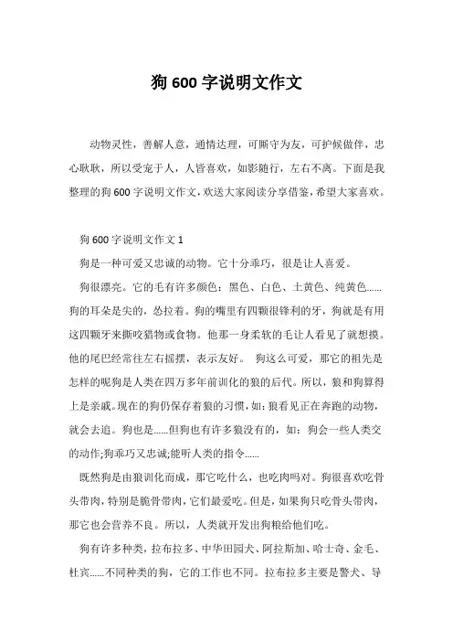 (说明文)狗600字说明文作文