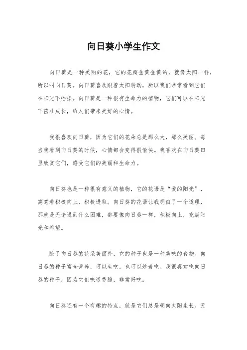 向日葵小学生作文