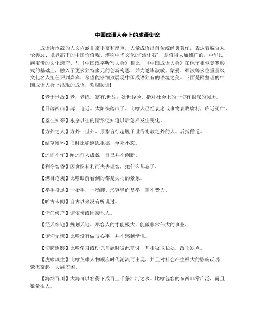 中国成语大会上的成语集锦