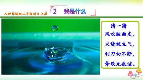 部编版二年级语文上册第二课《我是什么》