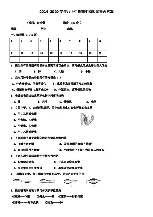 【20套试卷合集】辽宁省阜新市2019-2020学年生物八上期中模拟试卷含答案