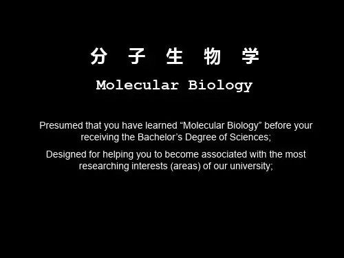 分子生物学全套课件96P课件