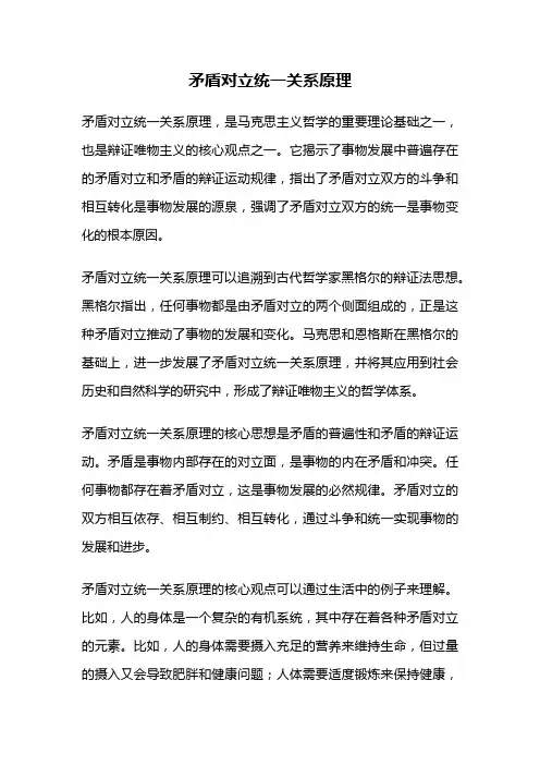 矛盾对立统一关系原理