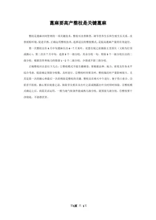 蓖麻要高产整枝是关键蓖麻