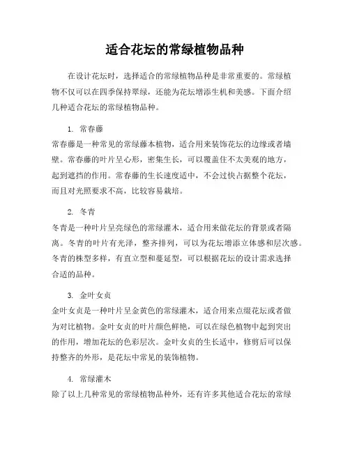 适合花坛的常绿植物品种