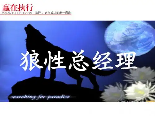 狼性总经理