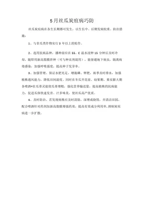 5月丝瓜炭疽病巧防