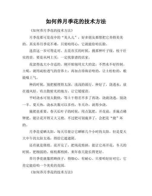 如何养月季花的技术方法