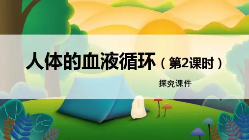 苏教版七年级生物下册 《人体的血液循环 第2课时》探究课件