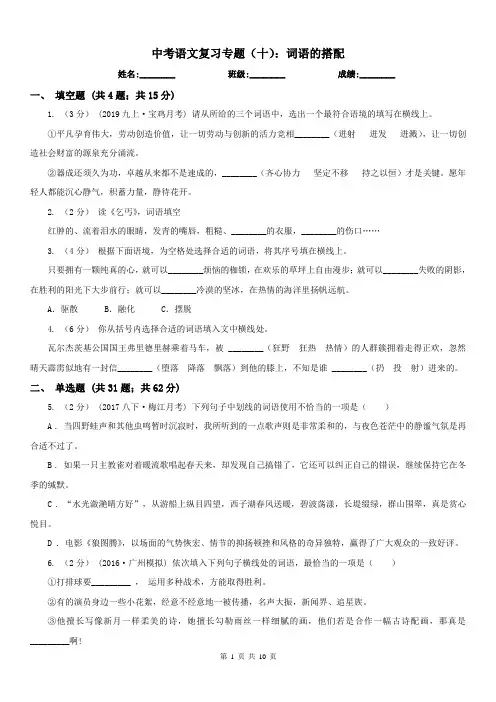 中考语文复习专题(十)：词语的搭配