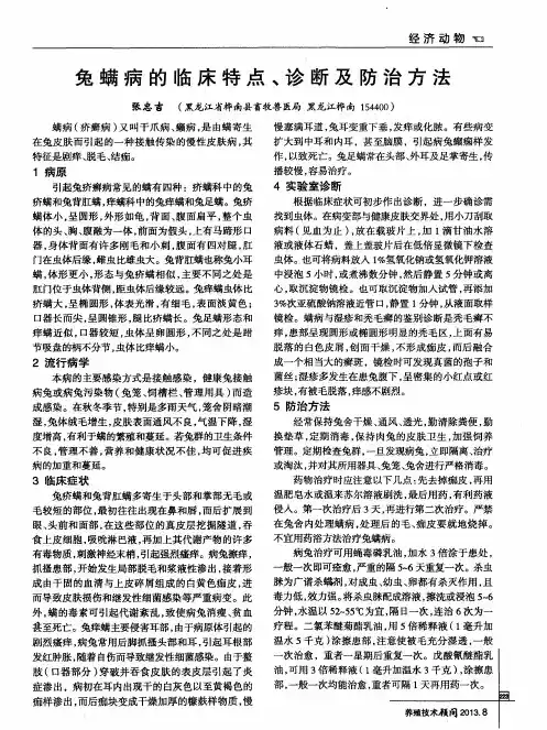 兔螨病的临床特点、诊断及防治方法