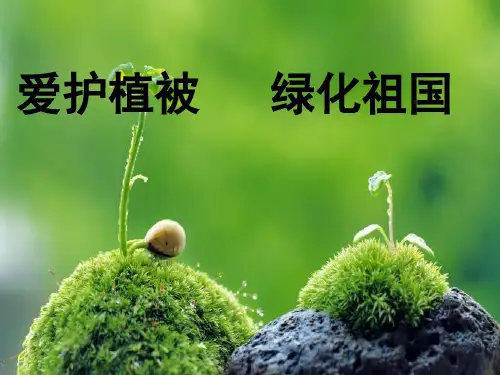 人教版初中生物七上 3.6 爱护植被 绿化祖国 课件 (共22张ppt)