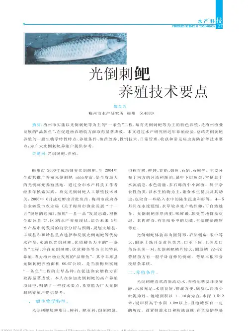 光倒刺鲃养殖技术要点_魏金芳