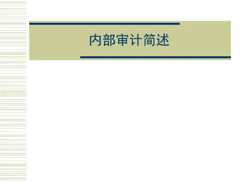 内部审计入门培训(ppt 19页)
