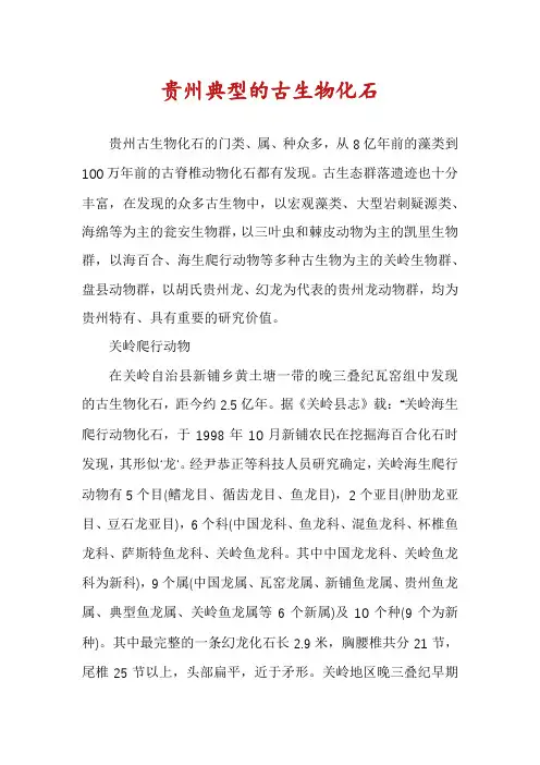 贵州典型的古生物化石