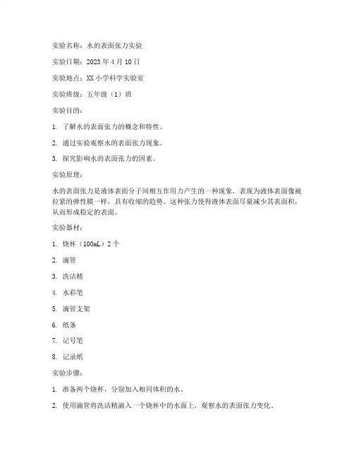 小学演示实验实验报告