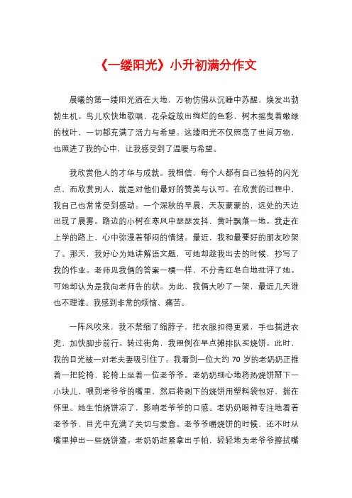 《一缕阳光》小升初满分作文