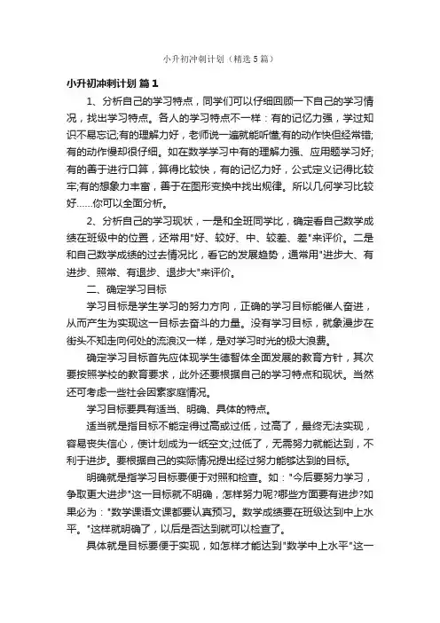 小升初冲刺计划（精选5篇）