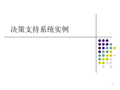 决策支持系统实例