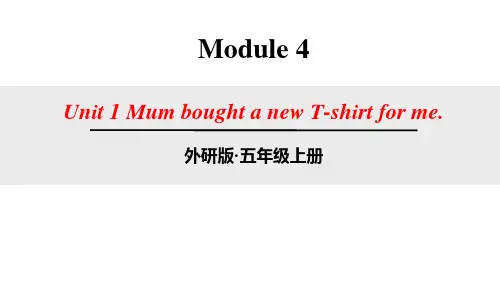 《Mum bought a new T-shirt for me》PPT课件鉴赏