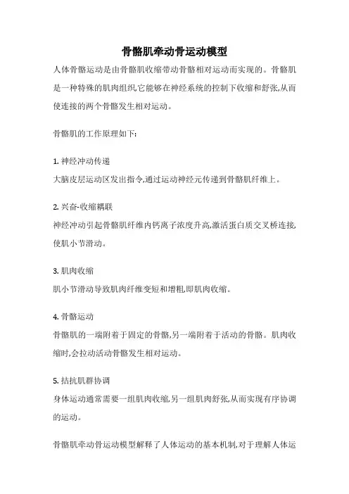 骨骼肌牵动骨运动模型