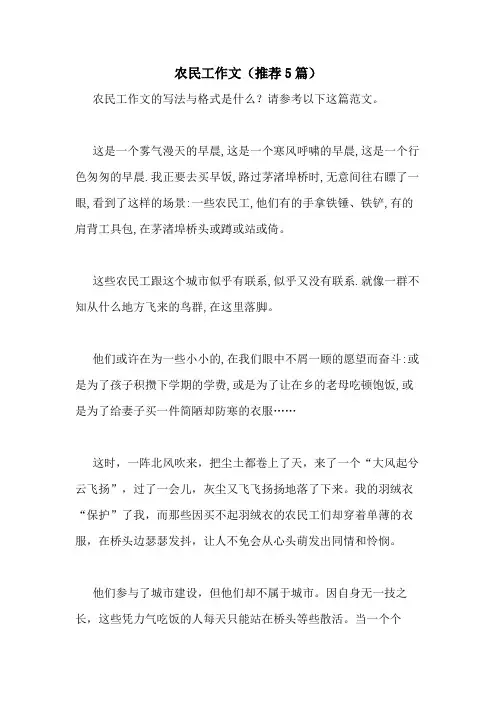 2020年农民工作文(推荐5篇)
