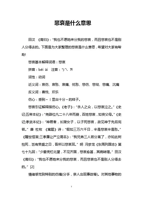 悲哀是什么意思