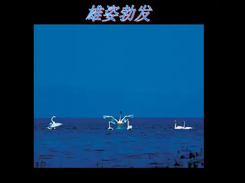 摄影作品赏析ppt课件