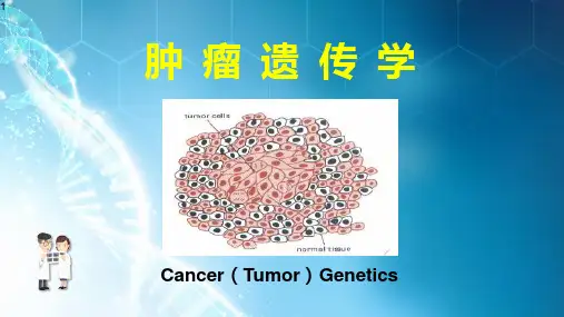 肿瘤遗传学 课件ppt课件