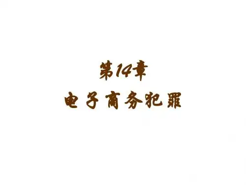 电子商务法律与实务第14章-电子商务犯罪