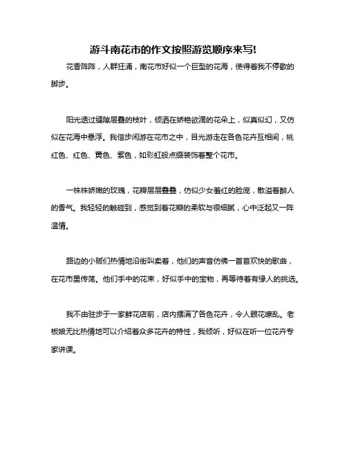 游斗南花市的作文按照游览顺序来写!