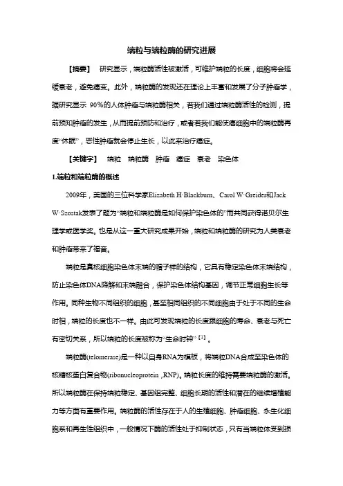 端粒与端粒酶的研究进展