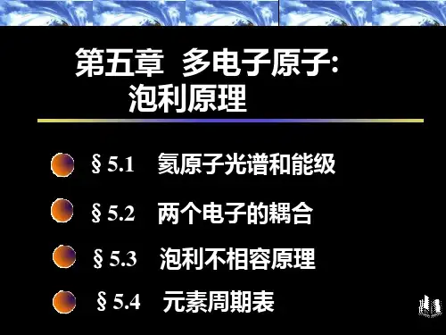 原子物理学课件_5第五章